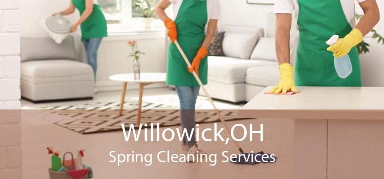 Willowick,OH Spring Cleaning Services