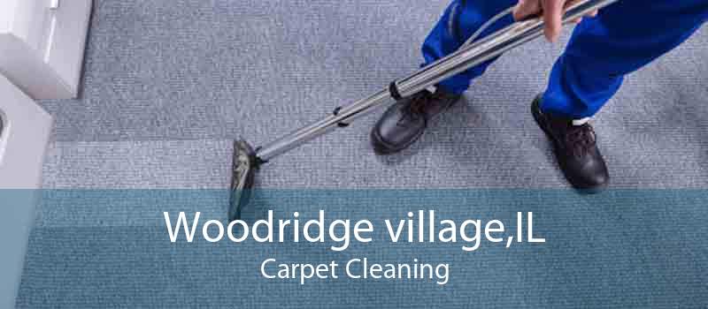 Woodridge village,IL Carpet Cleaning