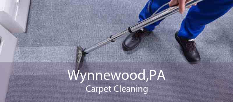 Wynnewood,PA Carpet Cleaning