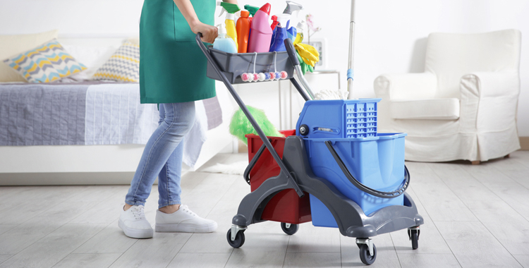 maid cleaning service in Oak Park Village